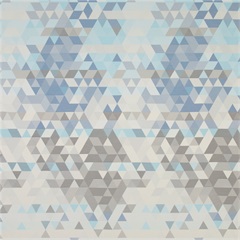 RX 6016 Privacy Curtain Fabric